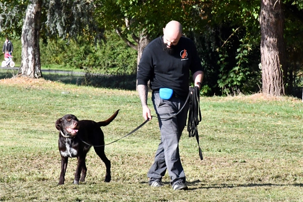 Séance pratique d'éducation canine à Bergerac avec Adrian Gilles